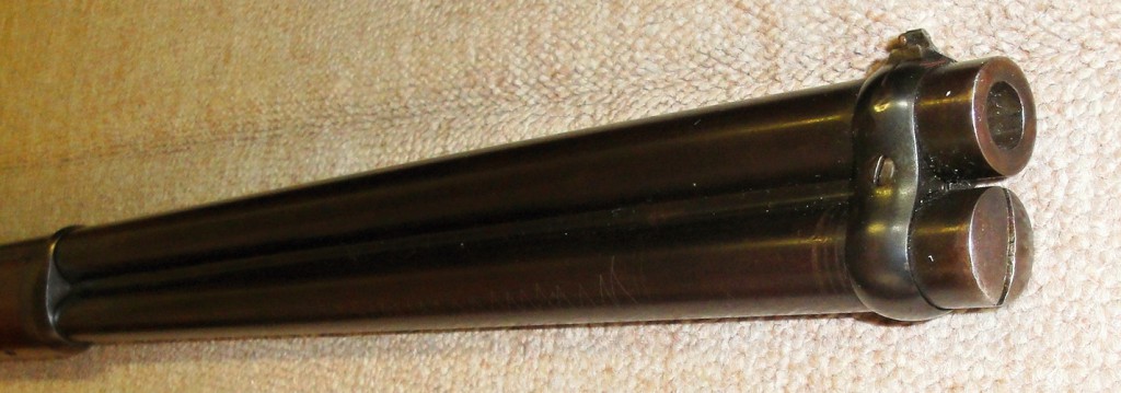 DSC07368
